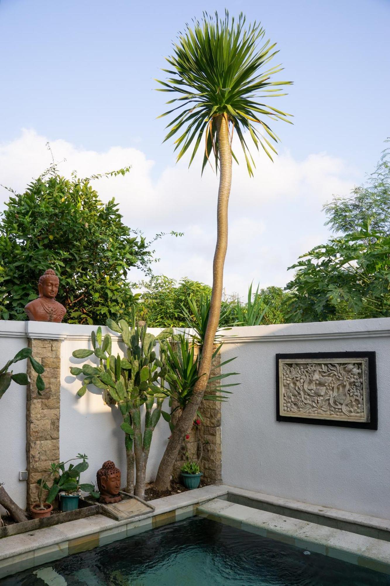 Hills House Villa By Sunnyrent - Jimbaran X Balangan X Gwk מראה חיצוני תמונה