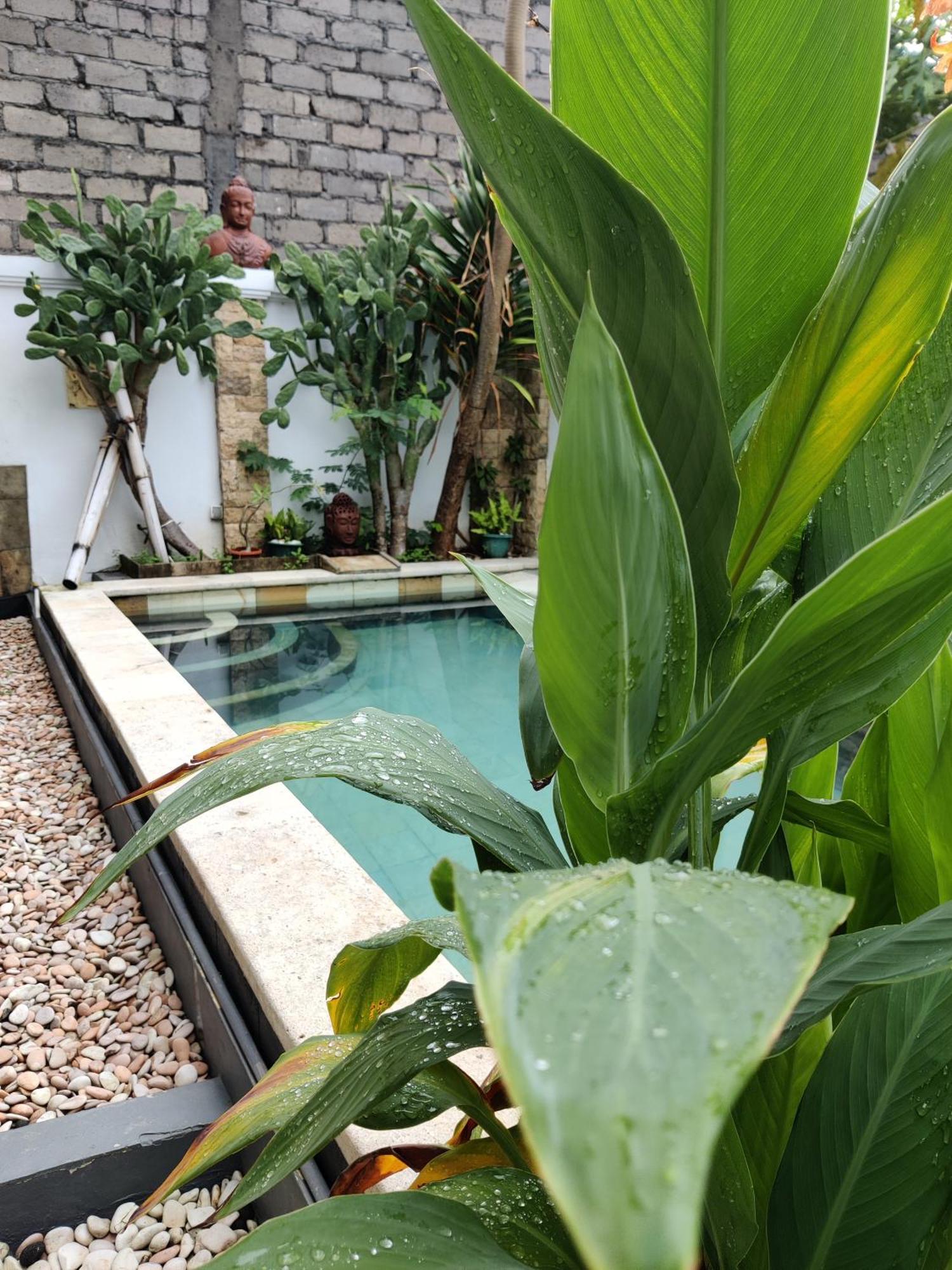 Hills House Villa By Sunnyrent - Jimbaran X Balangan X Gwk מראה חיצוני תמונה
